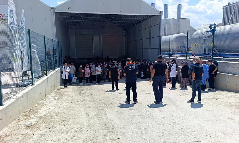 Domates Serasında Zehirlenenlerin Sayısı 33'e Yükseldi