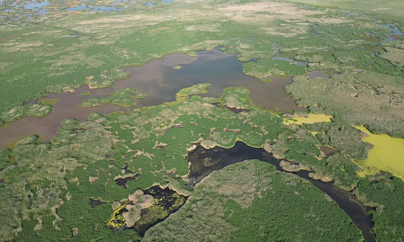 Eber Gölü Çevresinde Üreticinin Yüzü Gülüyor