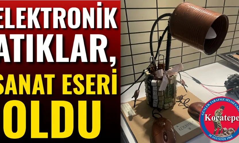 Elektronik Atıklar, Sanat Eseri Oldu