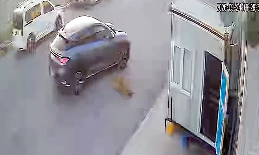 Afyon'da Görenlerin İçini Sızlatan Görüntü