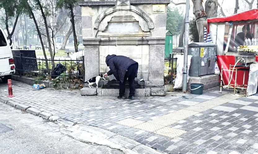 Hayvanları Sevelim Ama… Lütfen Biraz Daha Dikkat