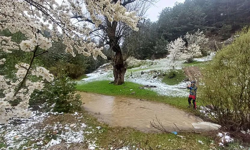 Hem Sevindirdi Hem Şaşırttı
