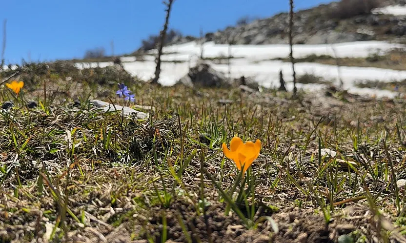 Karların Arasında Bahar Güzelliği: Akgöl Yaylası Mest Etti