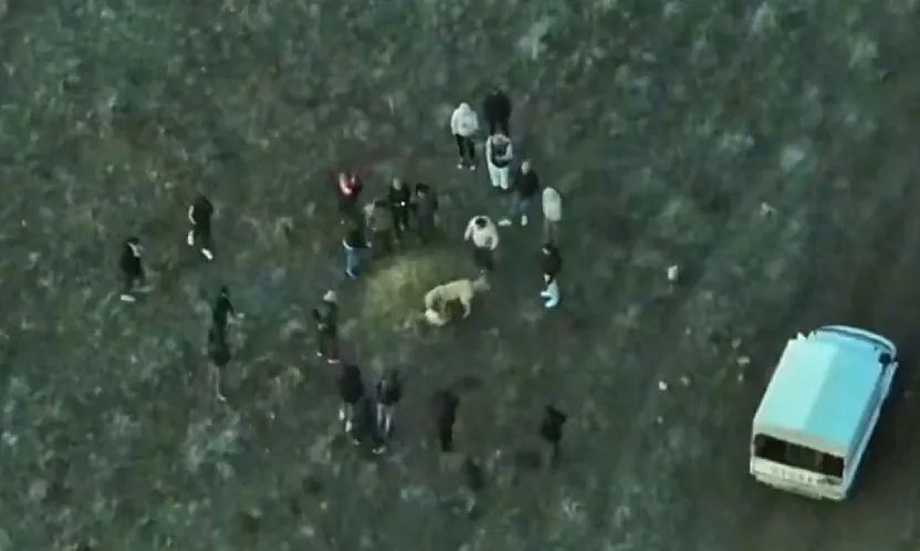 Köpek Dövüştürenler, Jandarma Dronuna Yakalandı