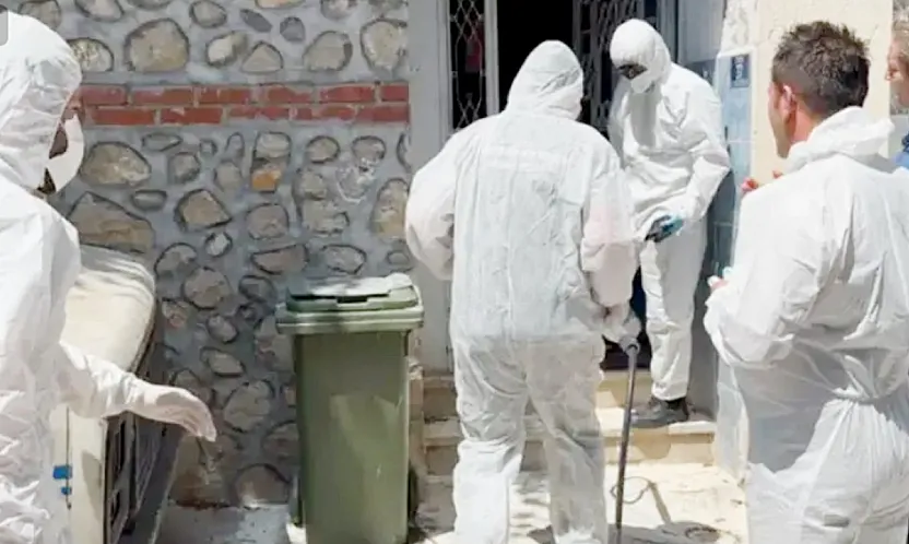 Mahalleyi Pire Bastı, O Hayvanlara Operasyon Yapıldı