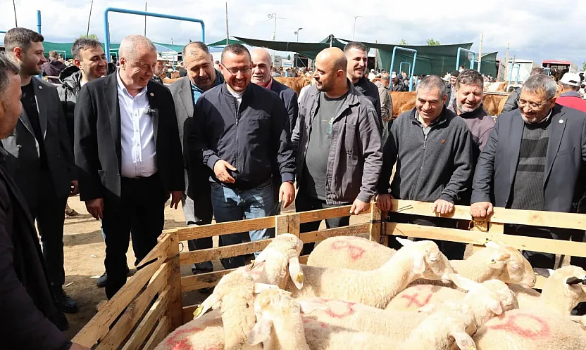 Milletvekili Olgun: Hayvan Pazarında Geçim Mücadelesini Gördük