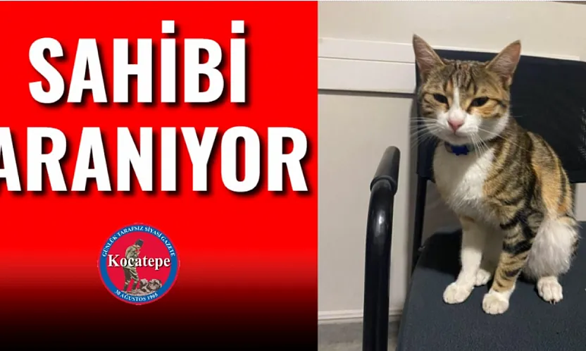 Sahibi Aranıyor