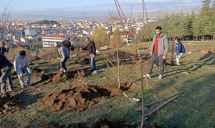 Sandıklılı Yarenler Badem Fidan Dikti
