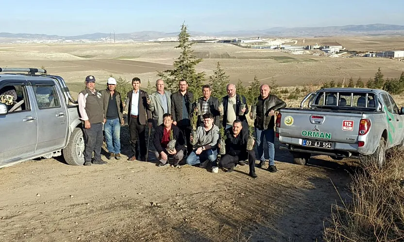 Susuz Boğazı'nda Yeşil Seferberlik