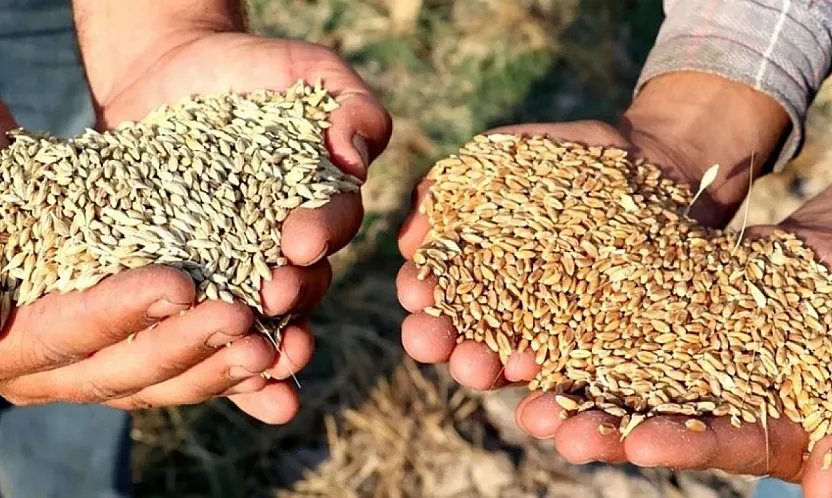 Tarihi Not Edin: 5 Ekim Saat 12.00'de Başlıyor!