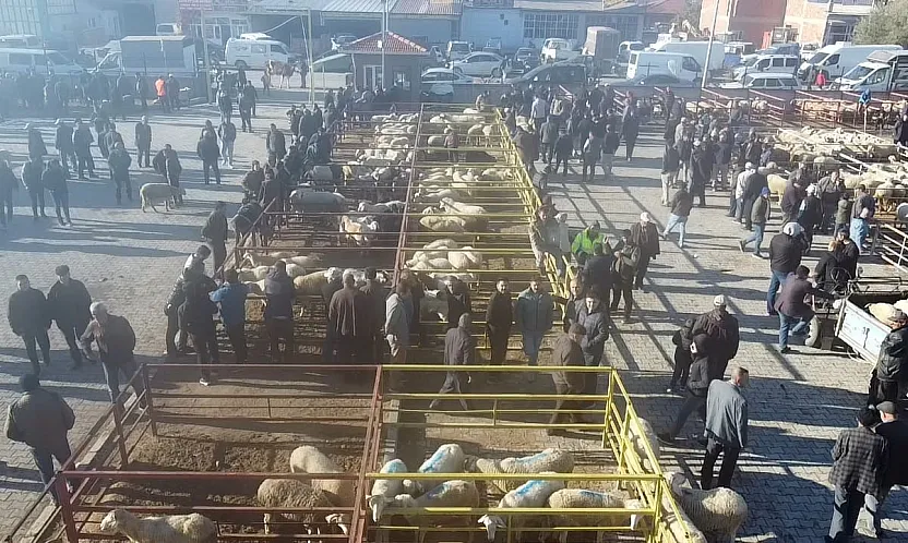 Uzun Süredir Kapalı Olan Canlı Hayvan Pazarı Açıldı