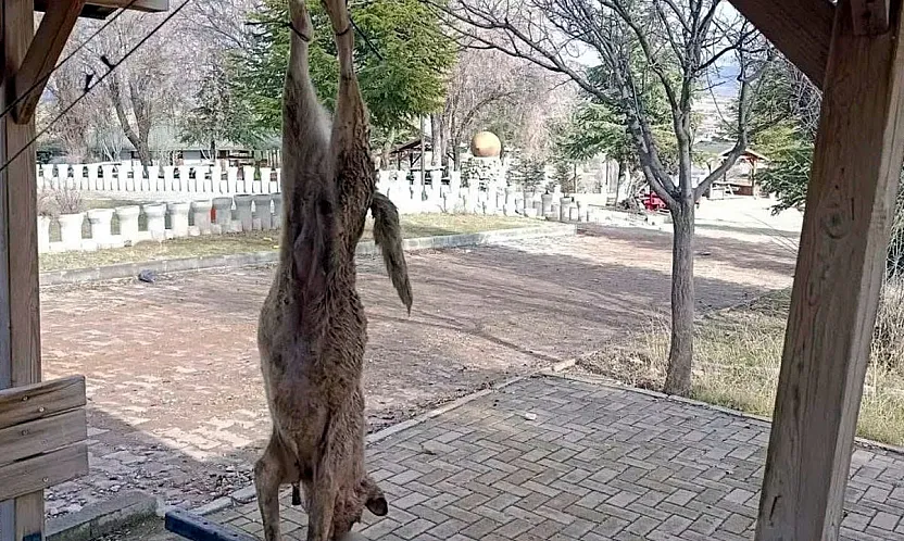 Vahşi Olay Soruşturuluyor