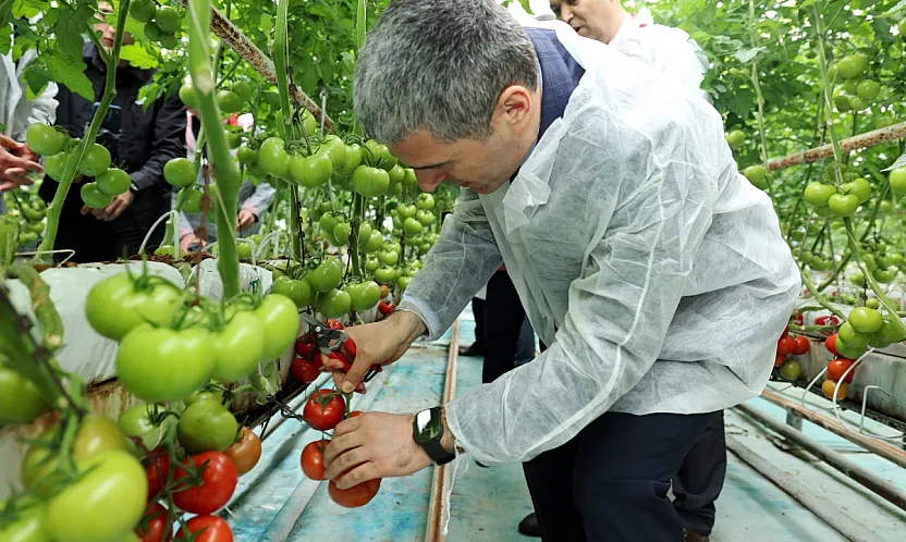 Vali Aktaş'tan Seralarda İnceleme