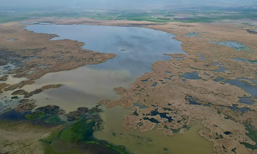 Yağışlar Eber Gölü'ne Can Verdi